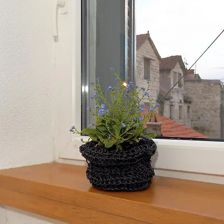 Belvedere Apartment