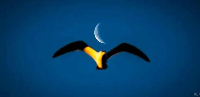 Belvedere Апартаменти